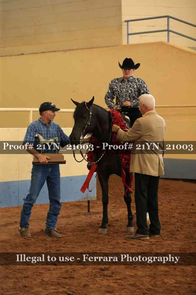 Proof 21YN_21003