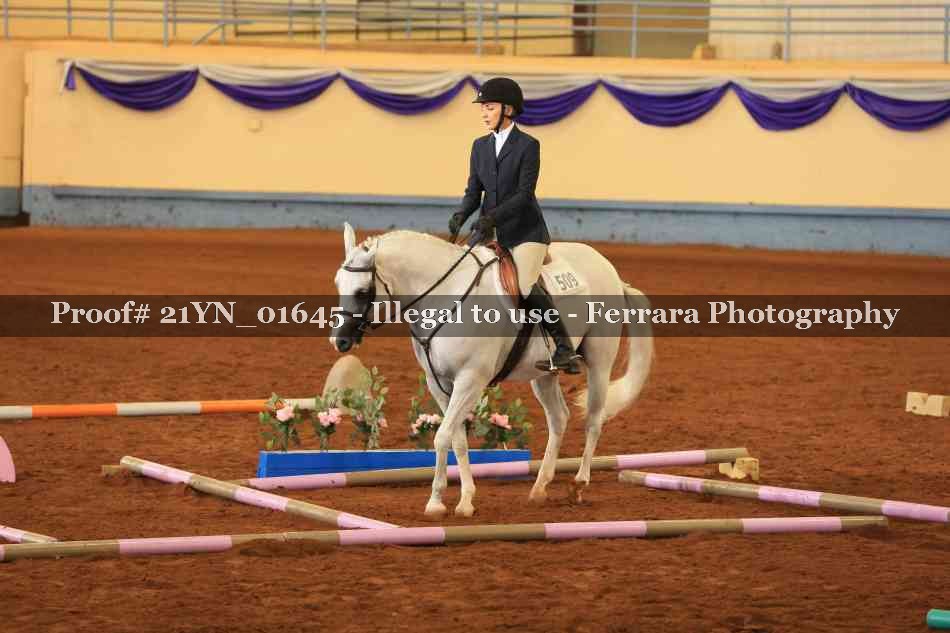 Proof 21YN_01645