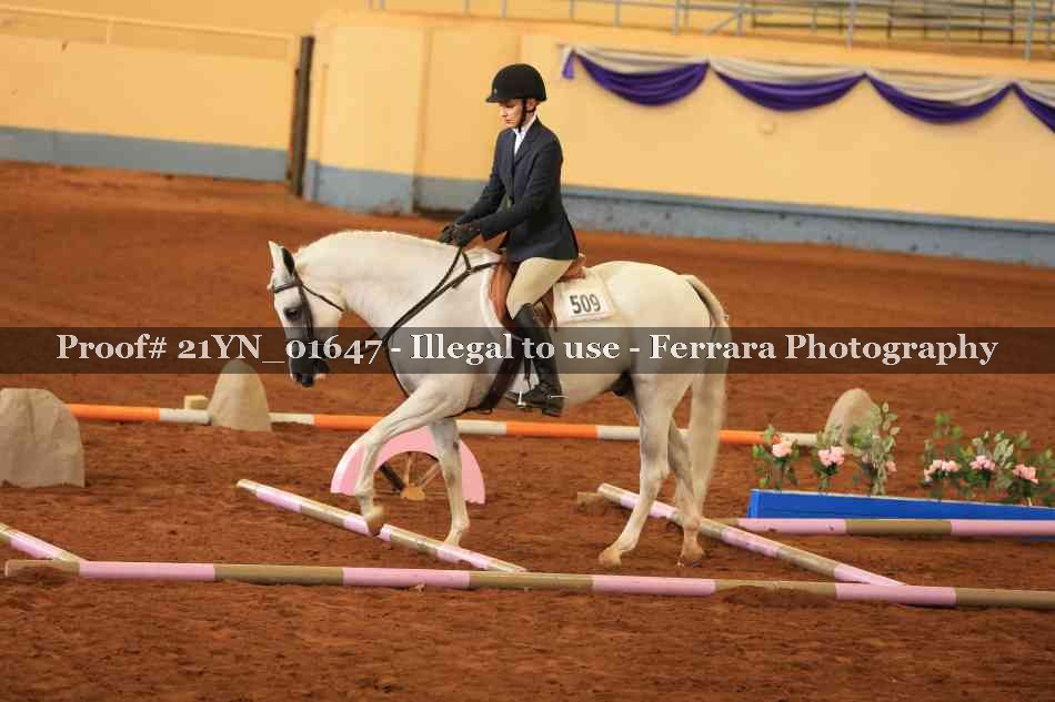 Proof 21YN_01647