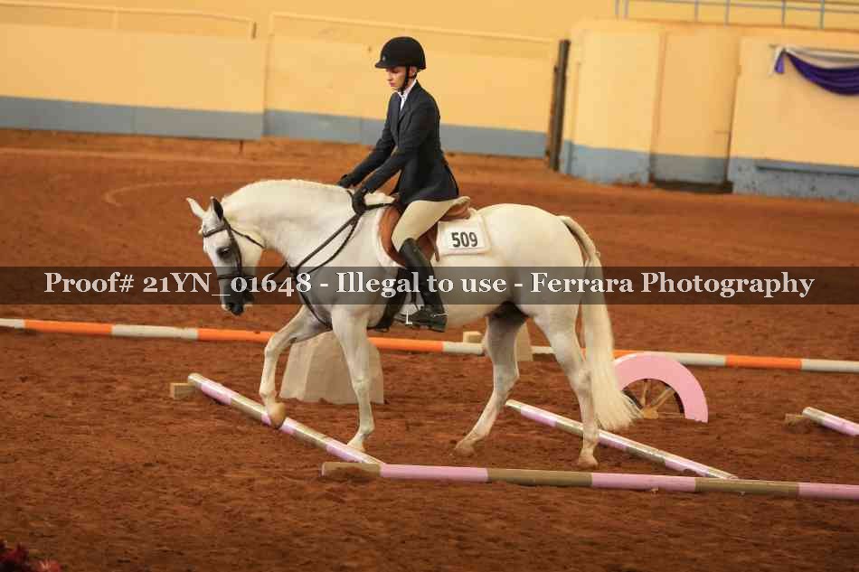 Proof 21YN_01648
