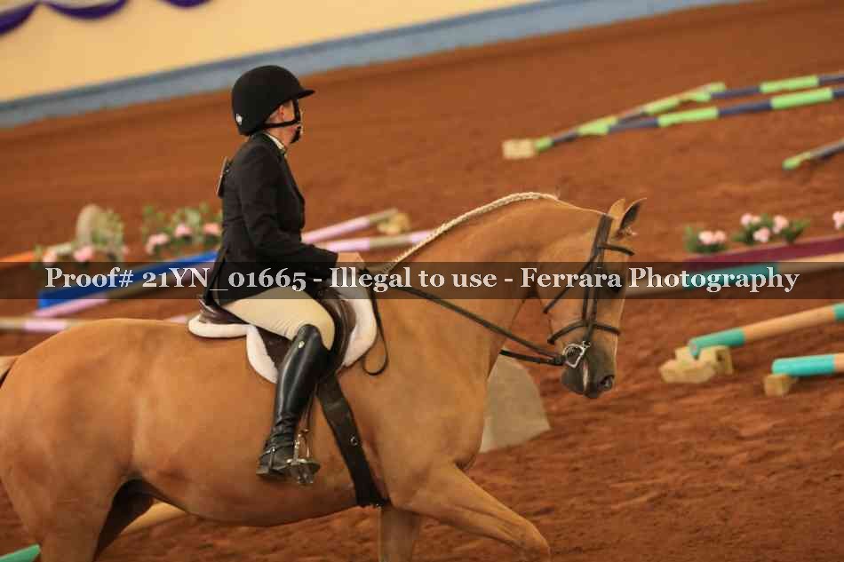 Proof 21YN_01665