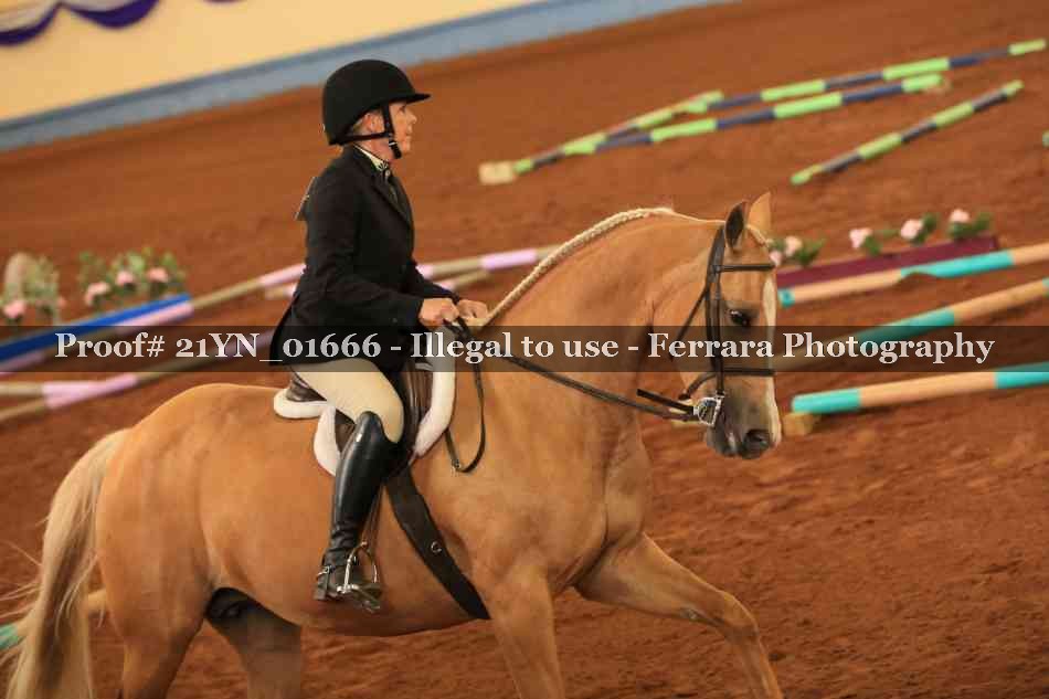 Proof 21YN_01666