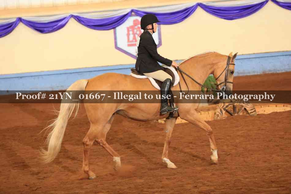 Proof 21YN_01667