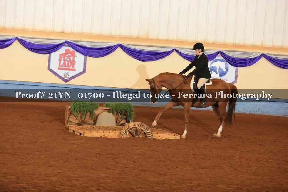 Proof 21YN_01700