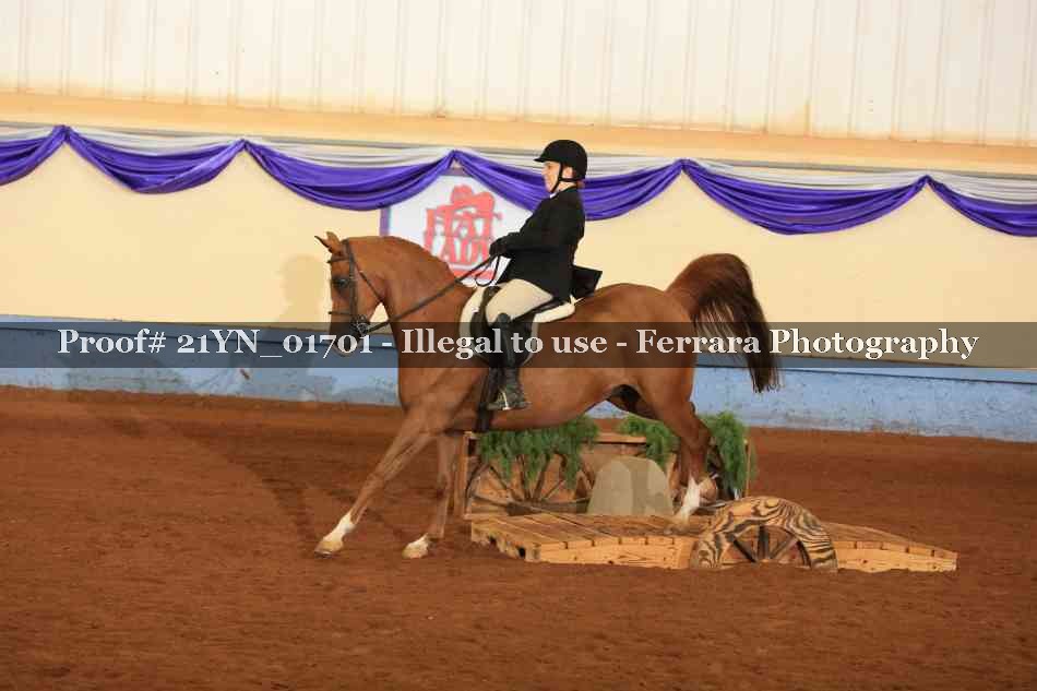 Proof 21YN_01701