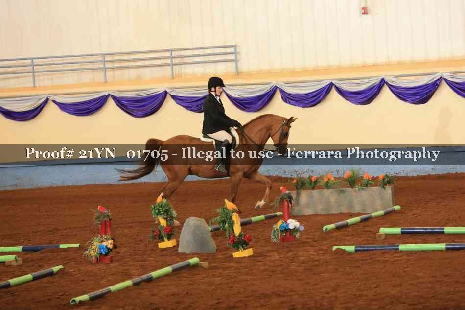 Proof 21YN_01705