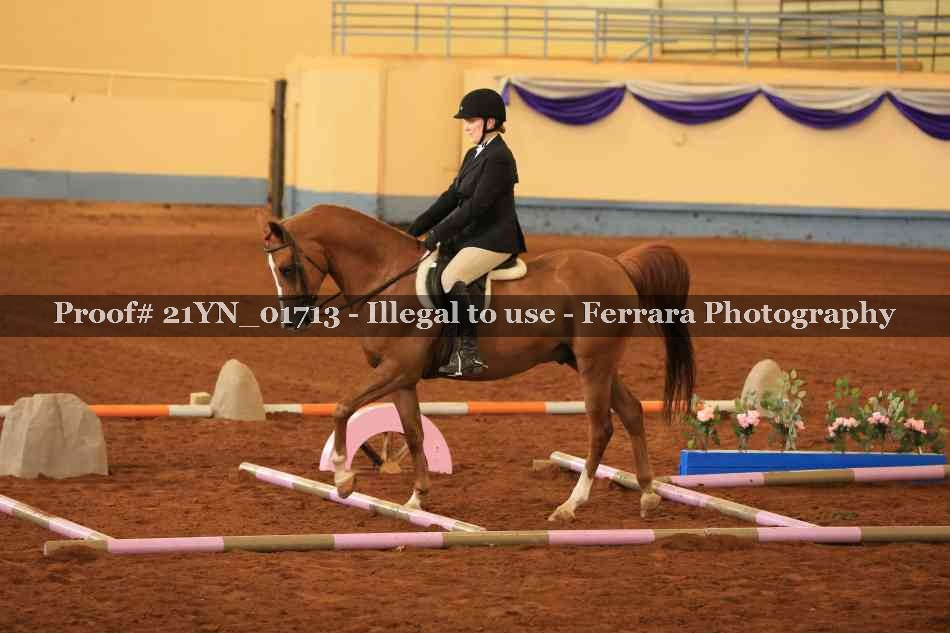 Proof 21YN_01713