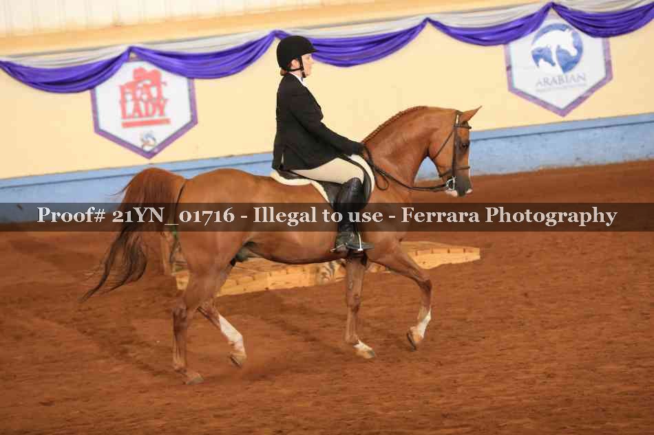 Proof 21YN_01716