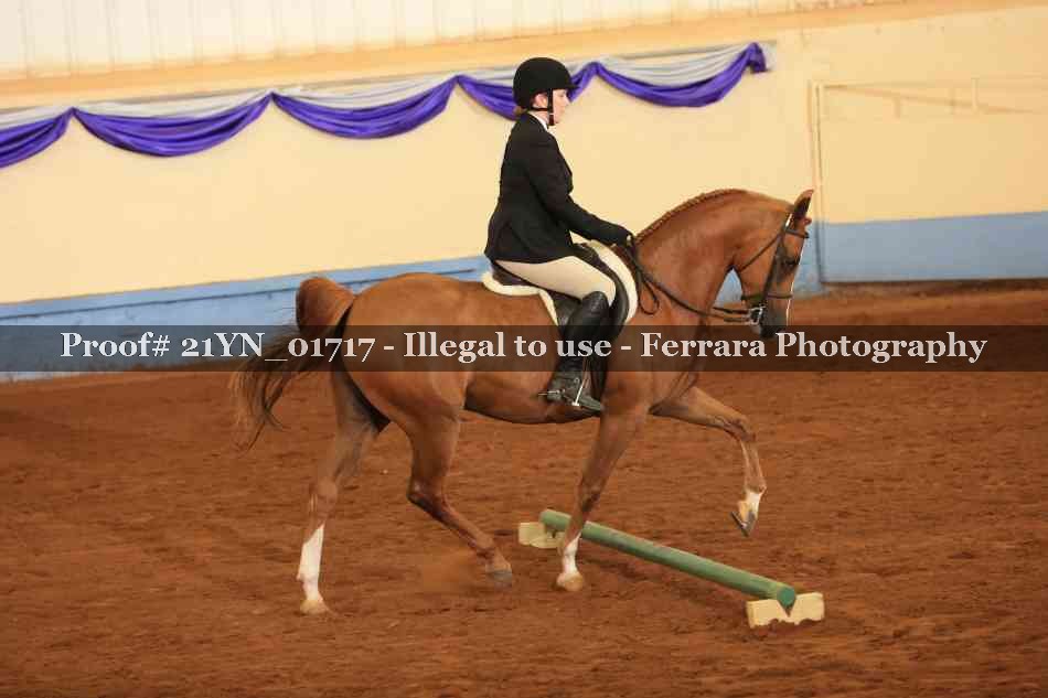 Proof 21YN_01717