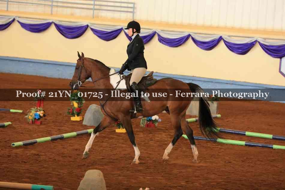 Proof 21YN_01725