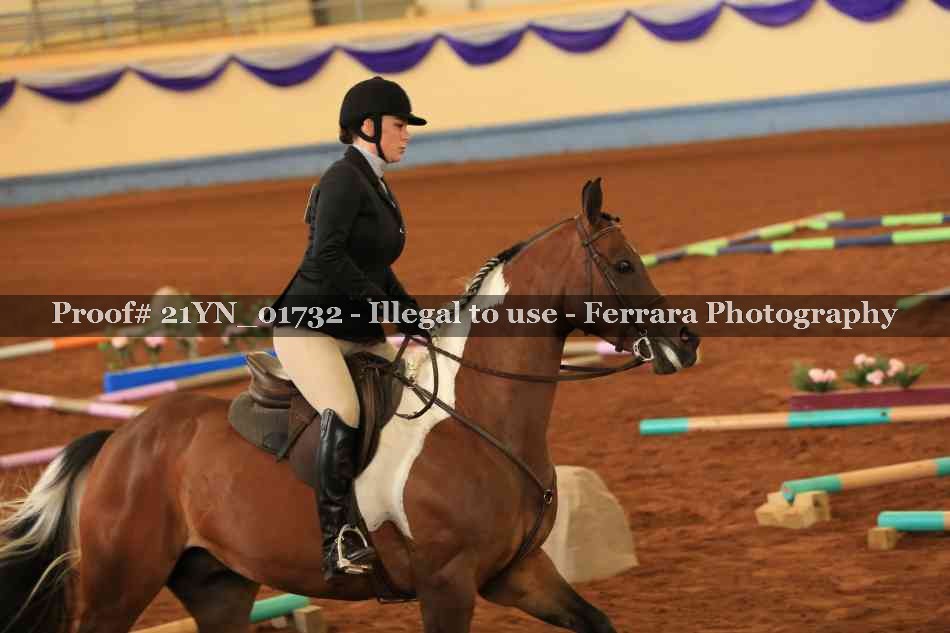 Proof 21YN_01732