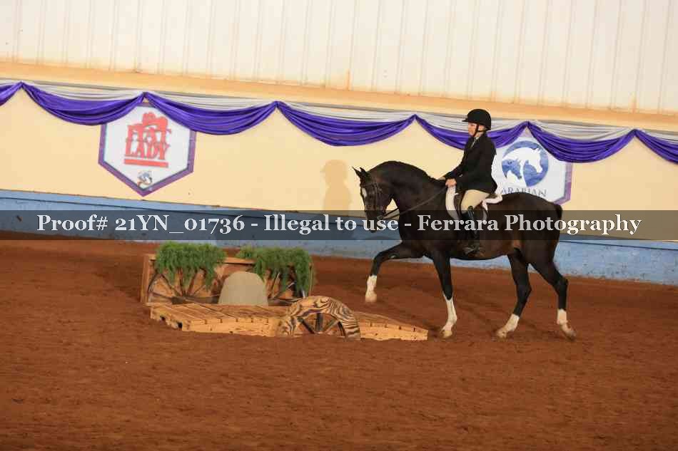 Proof 21YN_01736