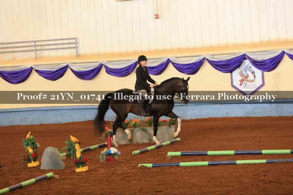 Proof 21YN_01741