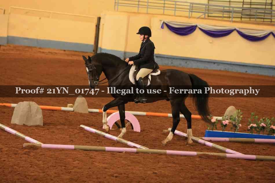 Proof 21YN_01747