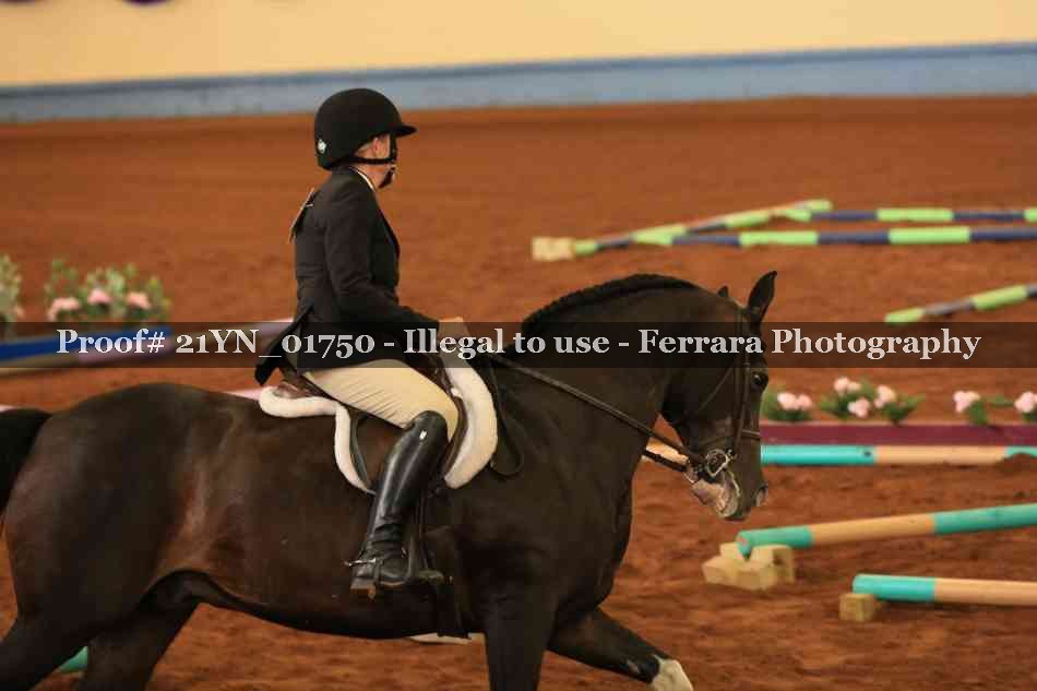 Proof 21YN_01750