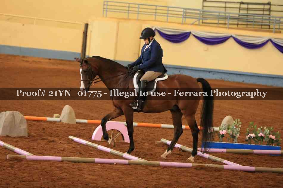 Proof 21YN_01775