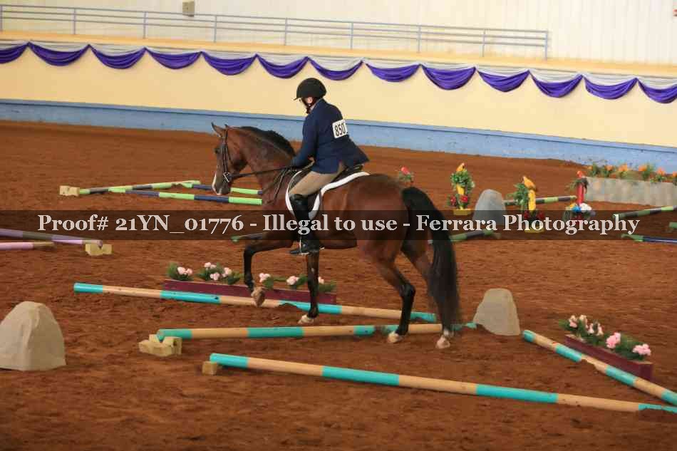 Proof 21YN_01776