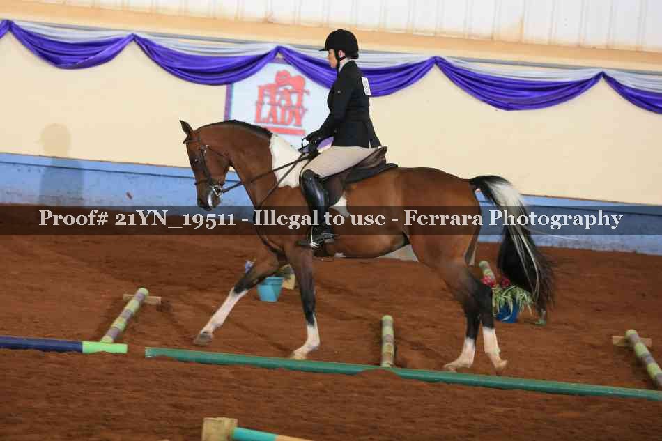 Proof 21YN_19511