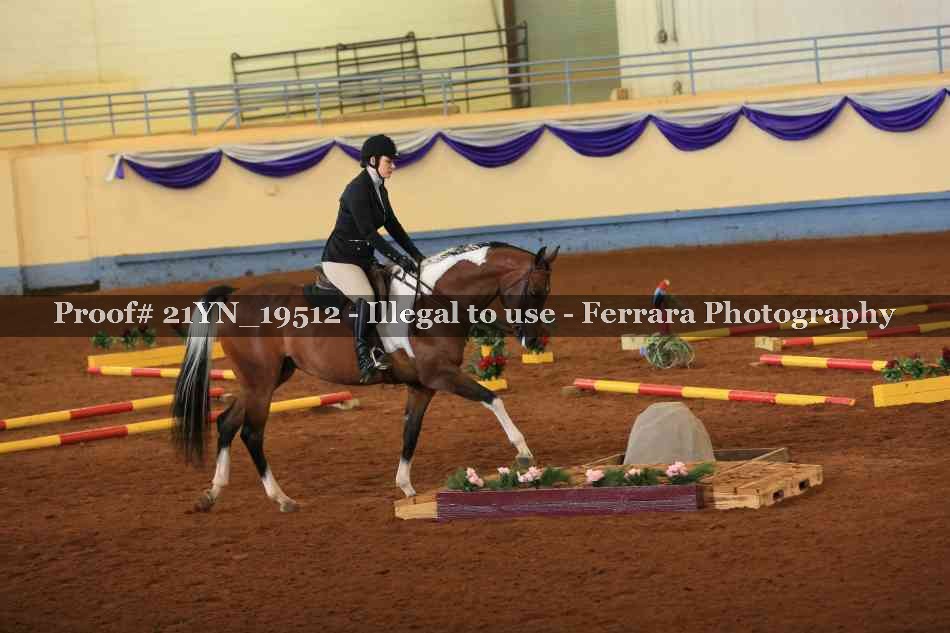 Proof 21YN_19512
