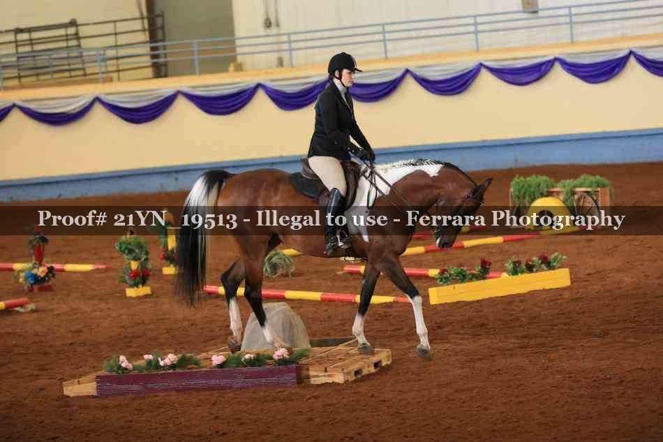 Proof 21YN_19513