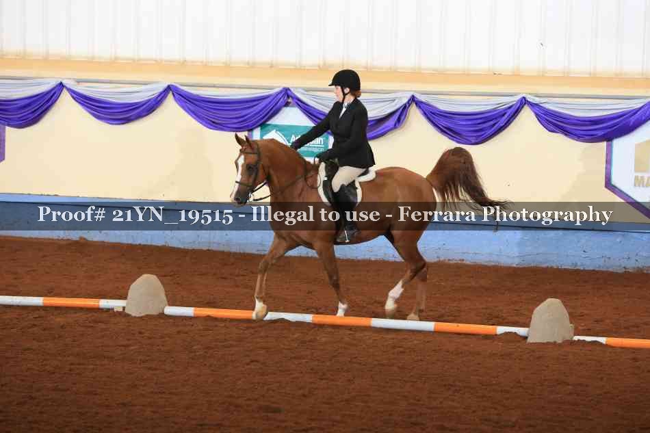 Proof 21YN_19515