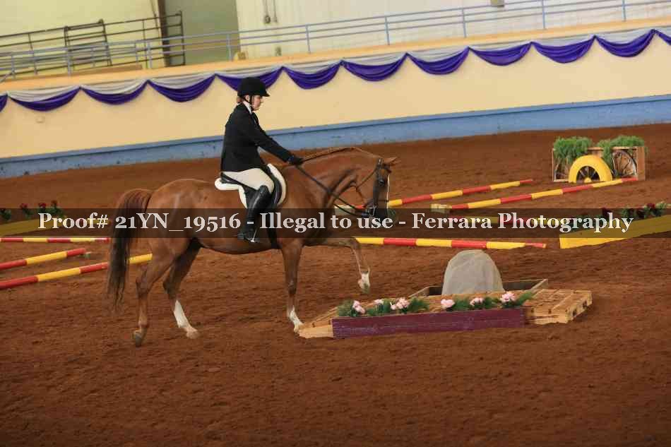 Proof 21YN_19516