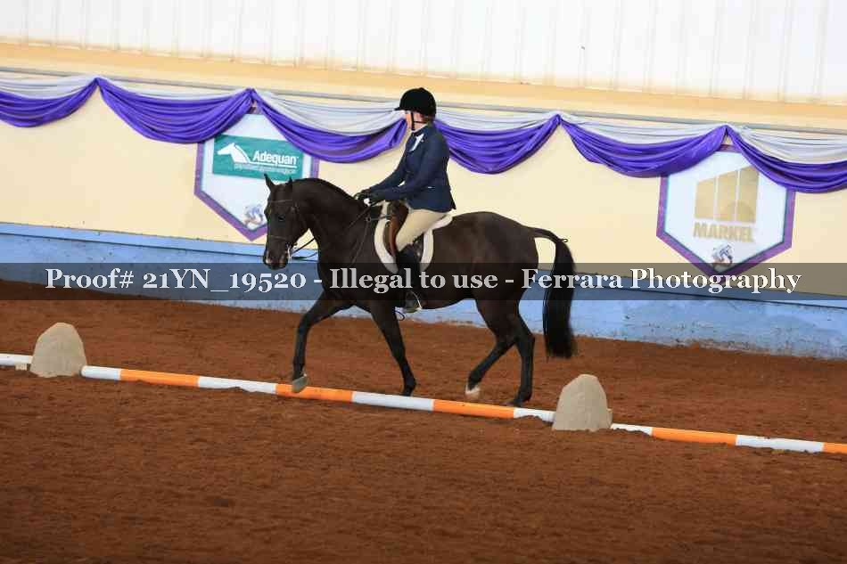 Proof 21YN_19520