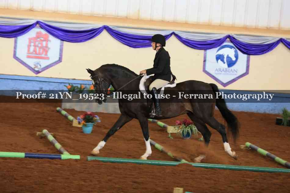 Proof 21YN_19523