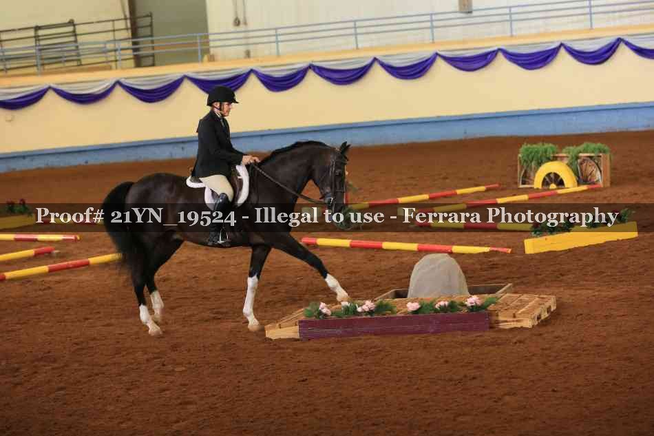 Proof 21YN_19524