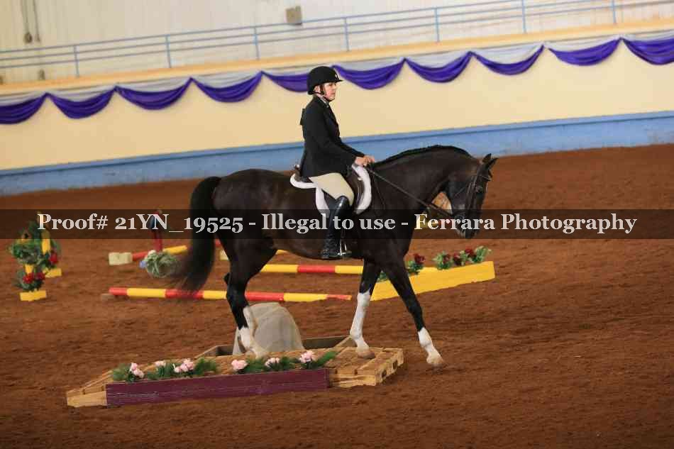 Proof 21YN_19525