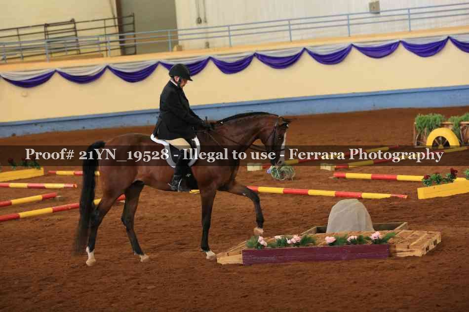 Proof 21YN_19528