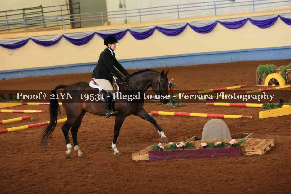 Proof 21YN_19531