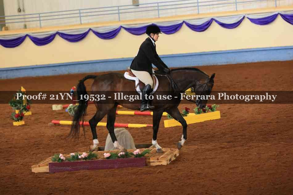 Proof 21YN_19532