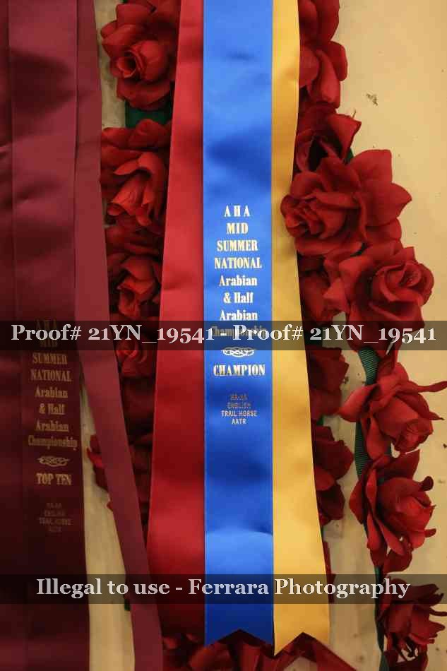Proof 21YN_19541