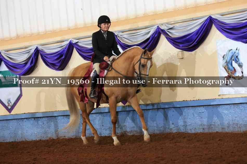 Proof 21YN_19560