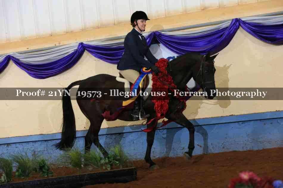 Proof 21YN_19573