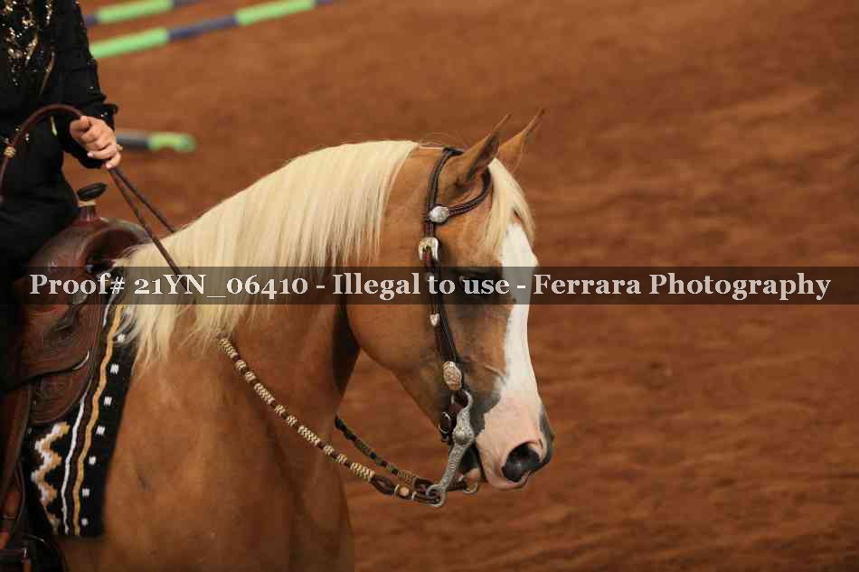 Proof 21YN_06410