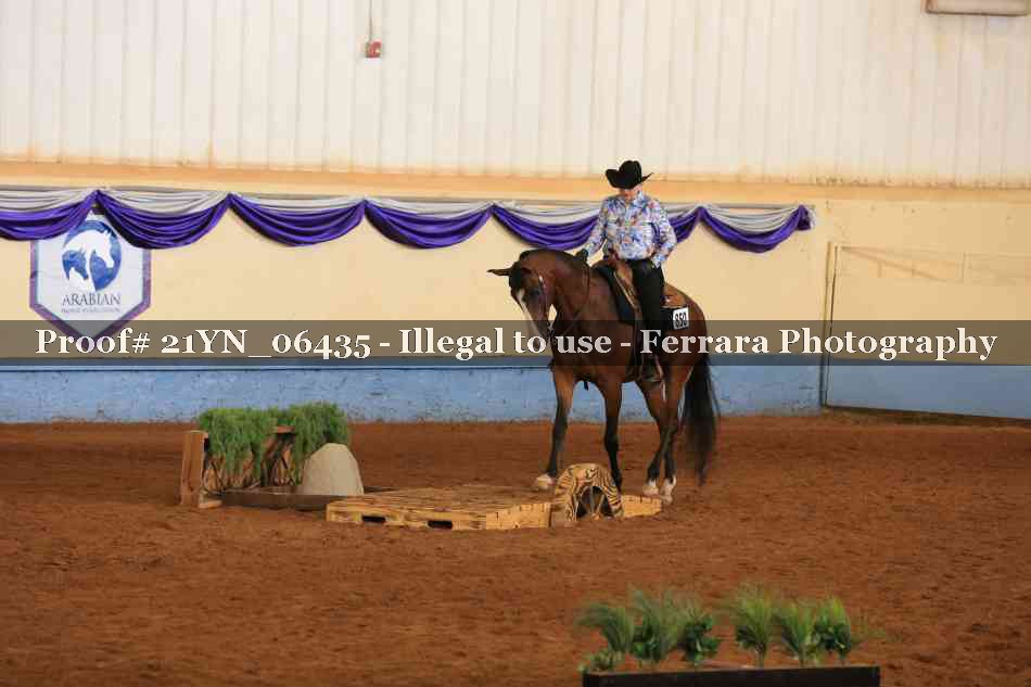 Proof 21YN_06435