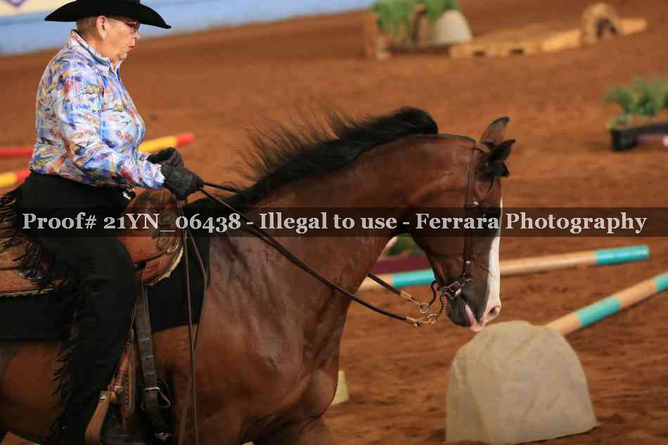 Proof 21YN_06438