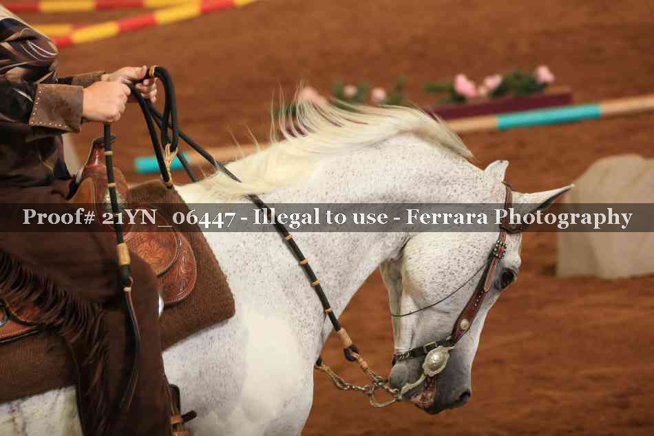 Proof 21YN_06447