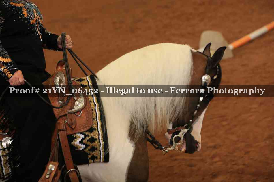 Proof 21YN_06452