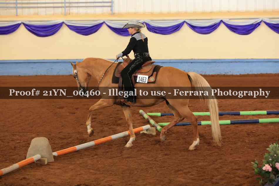 Proof 21YN_06460