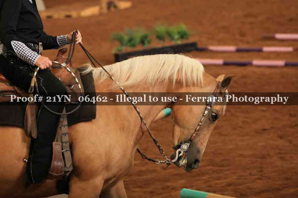 Proof 21YN_06462