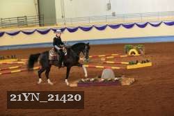 21YN_21420 proof