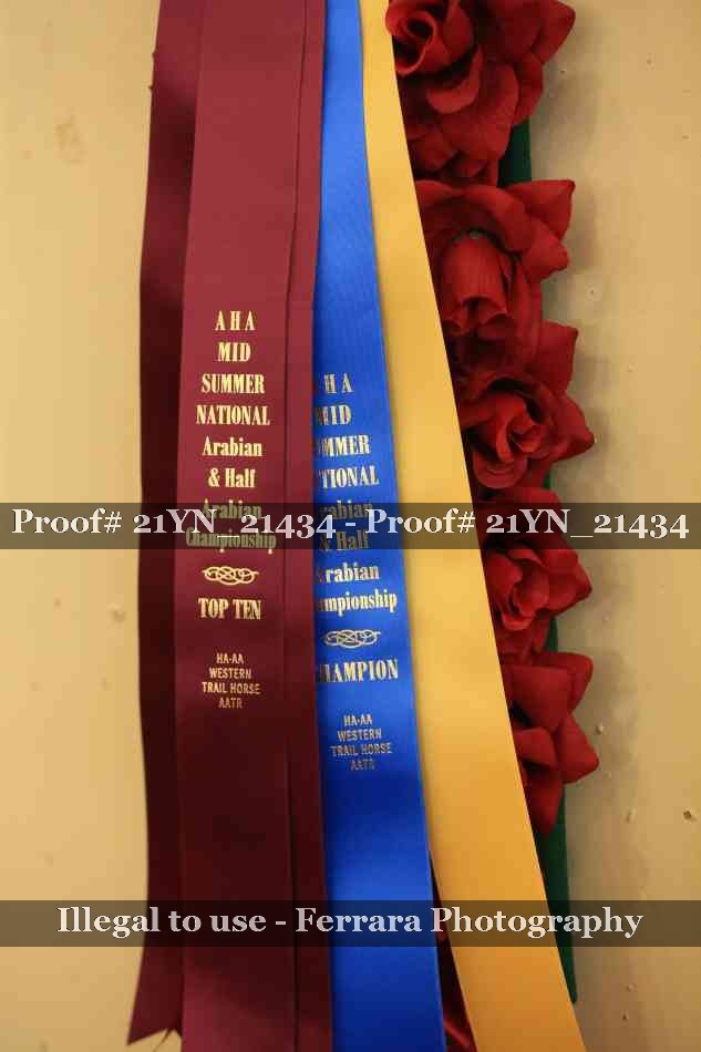 Proof 21YN_21434
