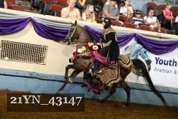 21YN_43147 proof
