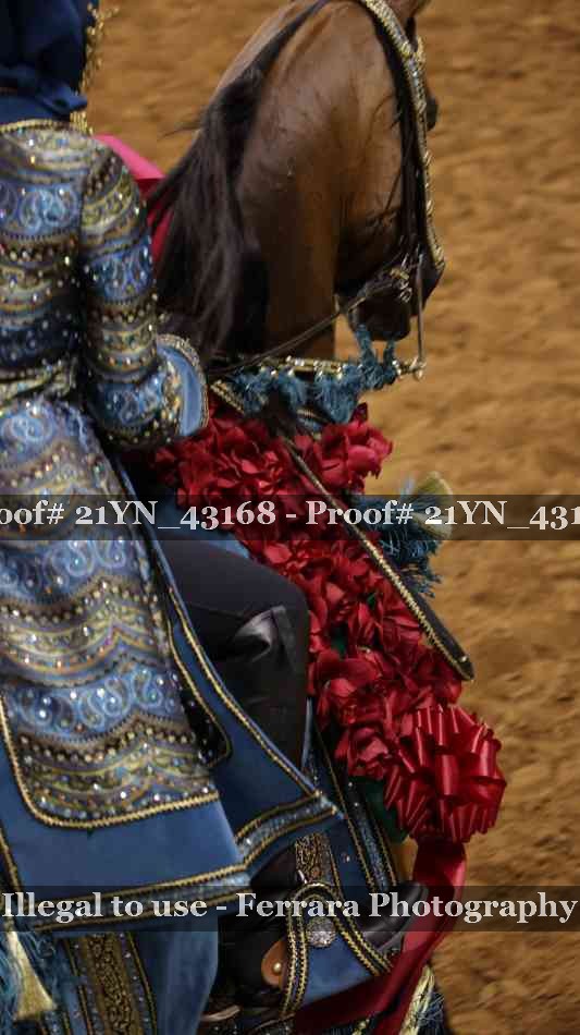 Proof 21YN_43168
