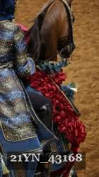 21YN_43168 proof