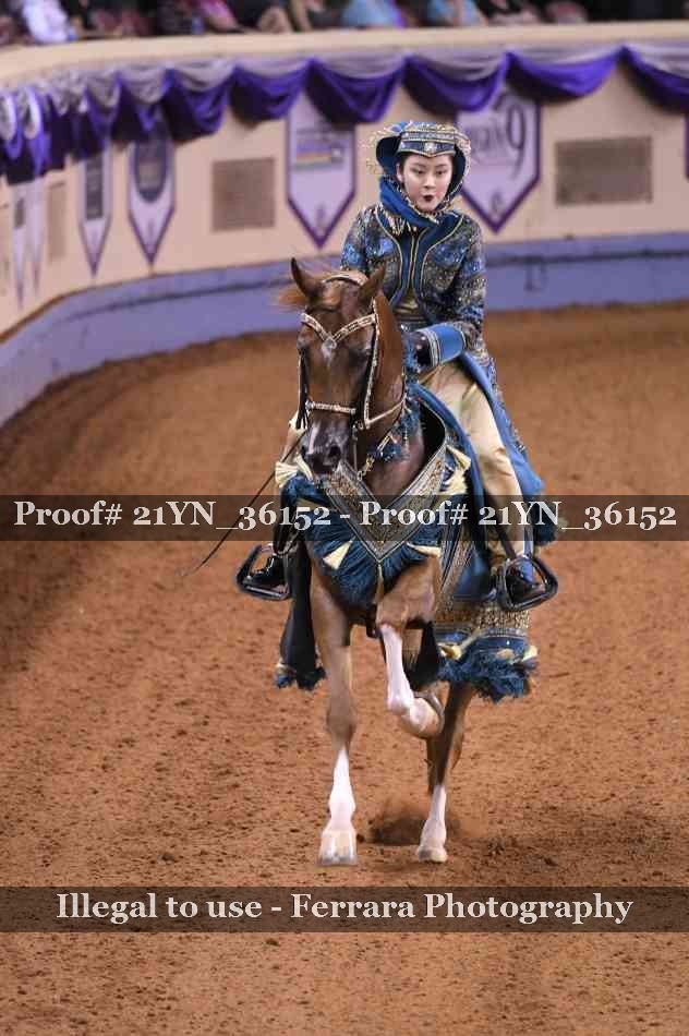 Proof 21YN_36152