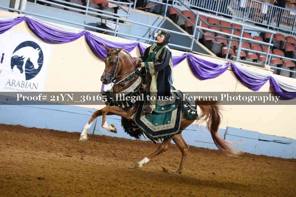 Proof 21YN_36165
